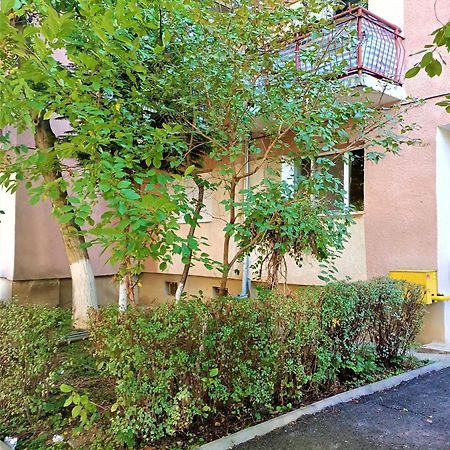 Caserom Studio Satu Mare Exterior foto