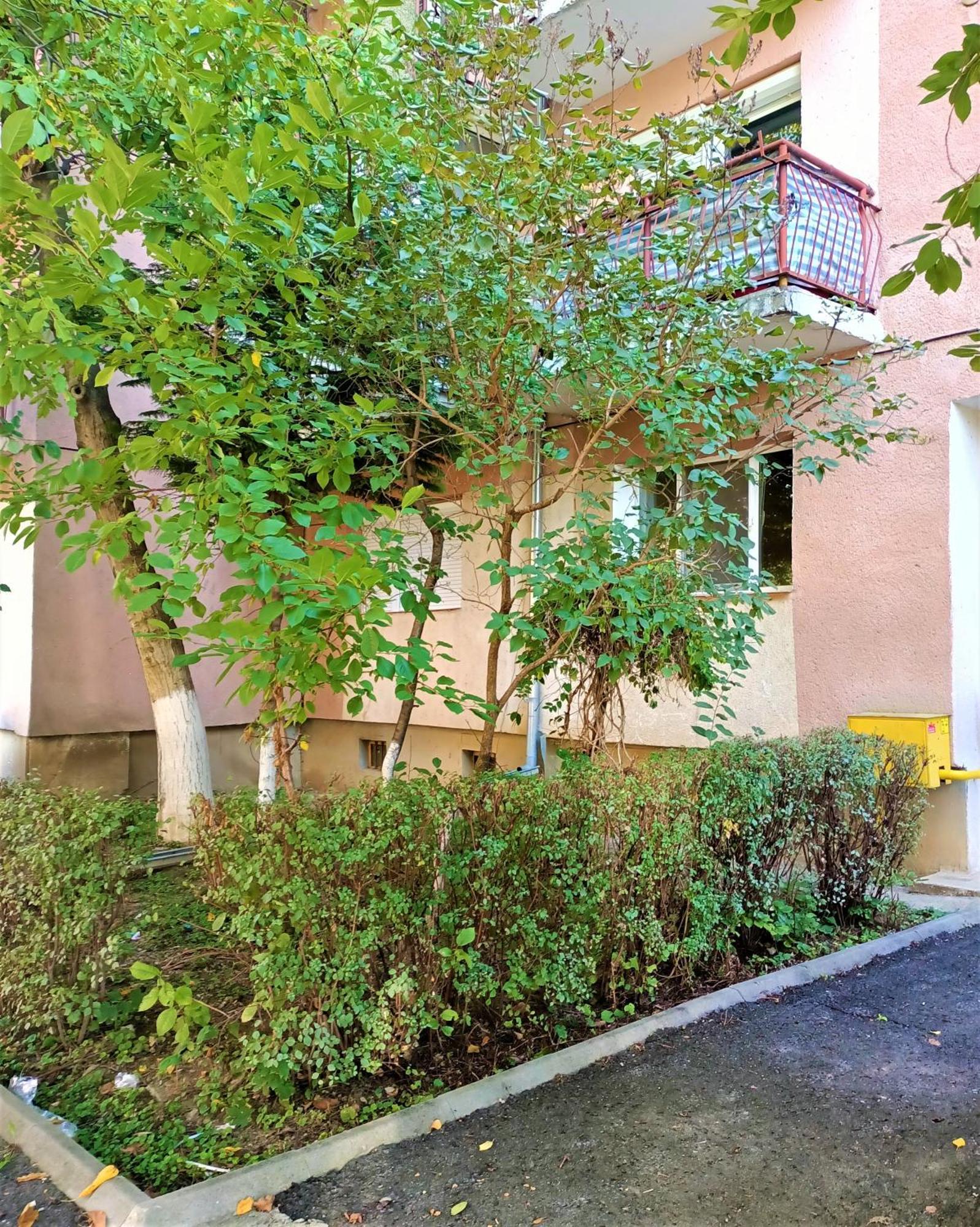 Caserom Studio Satu Mare Exterior foto