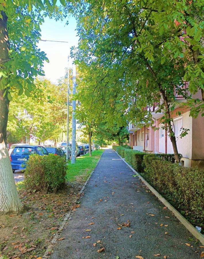 Caserom Studio Satu Mare Exterior foto